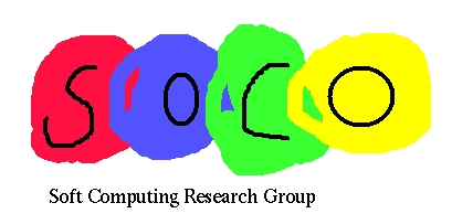 Research Group on Soft Computing Systems